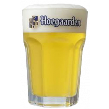 Hoegaarden Glazen 6 stuks huur