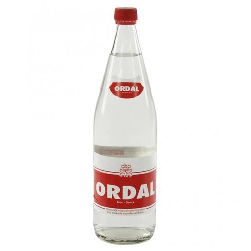 Ordal Bruis Water 1x100cl Fles (Leeggoed 0,20€)