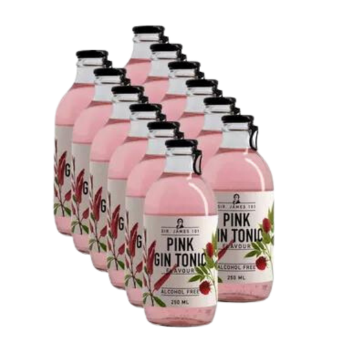 Sir James 101 Pink Gin & Tonic 12x25cl pack