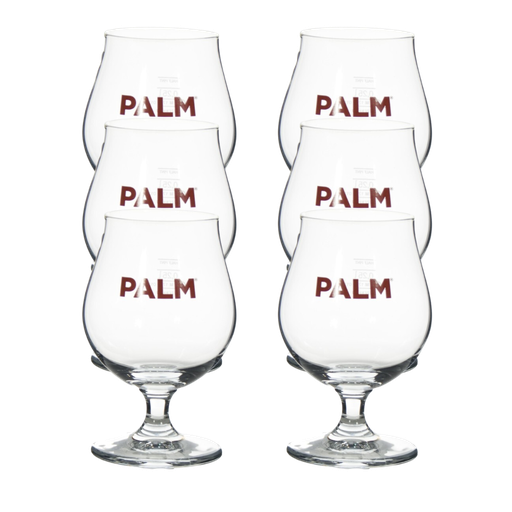 Palm Glazen 6 stuks huur